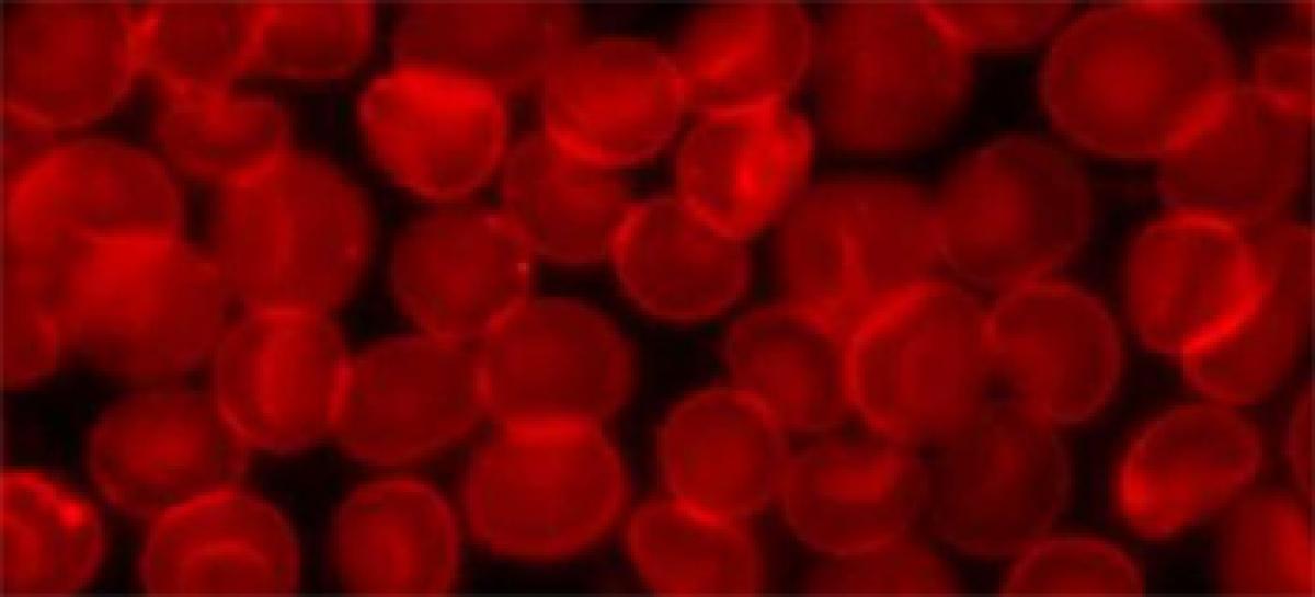Horror flicks can increase blood clotting protein